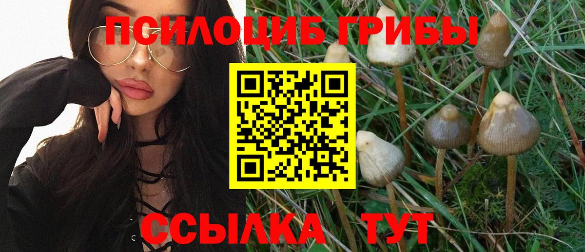 Новошахтинск  Псилоцибиновые грибы GOLDEN TEACHER  Вход с VPN 